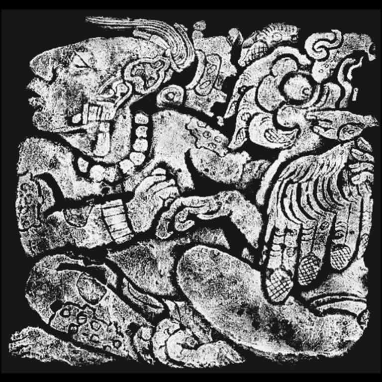 She's turning into a bird She's turning into a bird